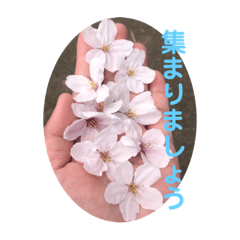 [LINEスタンプ] 春の花から癒されるスタンプ