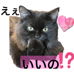 [LINEスタンプ] 黒猫 ルナ院長18にゃんめの画像（メイン）