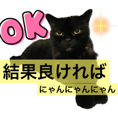 [LINEスタンプ] 黒猫 ルナ院長19にゃんめの画像（メイン）