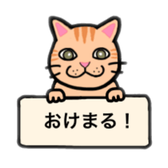 [LINEスタンプ] サバ猫⭐︎ミケ猫⭐︎アメショ（茶）日常使い