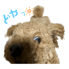 [LINEスタンプ] れお2歳です！