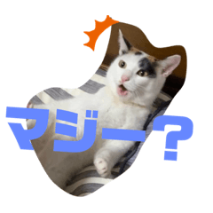 [LINEスタンプ] もちまりむぎスタンプ 8