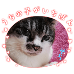 [LINEスタンプ] イケメンそら