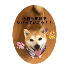 [LINEスタンプ] 仲良しサストト兄弟