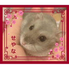 [LINEスタンプ] よるたんstamp