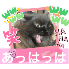 [LINEスタンプ] 黒猫 ルナ院長21にゃんめの画像（メイン）