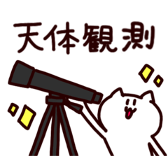 [LINEスタンプ] 天体観測に行きたいねこのスタンプの画像（メイン）