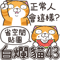 [LINEスタンプ] ランラン猫 43 (台湾版)の画像（メイン）
