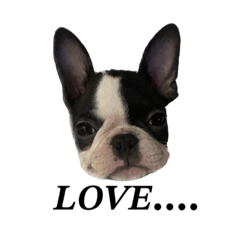 [LINEスタンプ] 日常ナルト