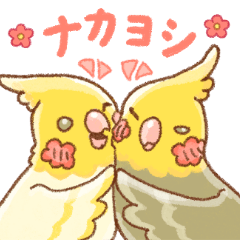 [LINEスタンプ] 仲良しオカメインコ！