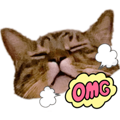[LINEスタンプ] 茶色いおへそとカギしっぽ【その4】