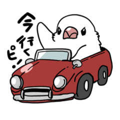 [LINEスタンプ] ぶんちょの日常スタンプ