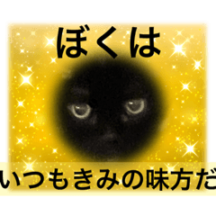 [LINEスタンプ] 黒猫 ルナ院長23にゃんめの画像（メイン）