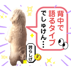 [LINEスタンプ] 【とのまる日記】熊本弁で喋る犬、とのまる