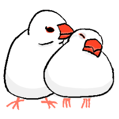 [LINEスタンプ] 夫婦白文鳥さん