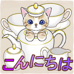 [LINEスタンプ] ずっと使える☆猫のあいさつスタンプ