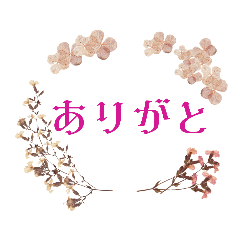 [LINEスタンプ] WhitePearl【お花スタンプ】よく使う言葉