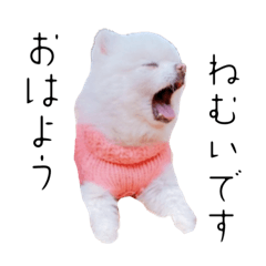 [LINEスタンプ] しあんその壱