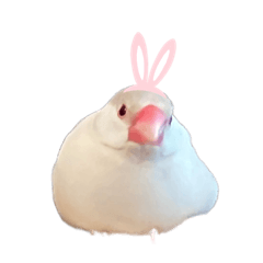 [LINEスタンプ] うちのおこめさん。2