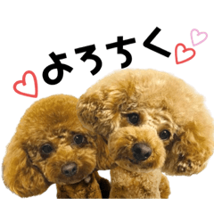 [LINEスタンプ] トイプードルのたいやき君☆あんこ君