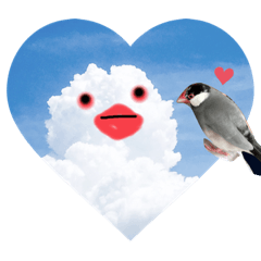 [LINEスタンプ] 桜文鳥わすけ わすと空