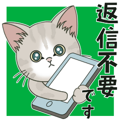 [LINEスタンプ] 仔猫のぽんにゃん【敬語deあいさつ】