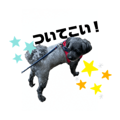 [LINEスタンプ] ゴエモンの日常3