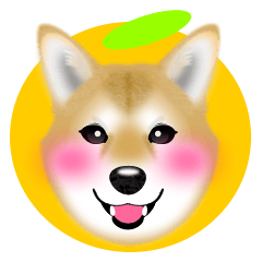 [LINEスタンプ] 柴犬柚子ちゃんのラインスタンプです。