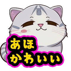 [LINEスタンプ] あほかわいい猫（スコティッシュフォールド