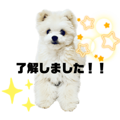 [LINEスタンプ] ドナテッラスタンプ3