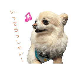 [LINEスタンプ] ツナぴよ⑥
