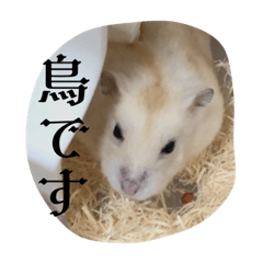 [LINEスタンプ] プティンstamp