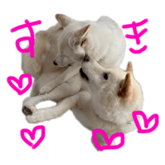 [LINEスタンプ] もなんご☆