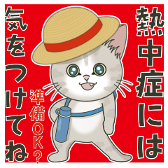 [LINEスタンプ] 仔猫のぽんにゃん【夏＊天気編】