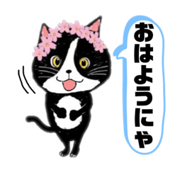 [LINEスタンプ] 猫のさくらの日常にゃんです 2です。