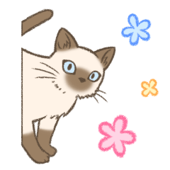 [LINEスタンプ] シャム猫のシャーコ2