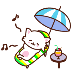 [LINEスタンプ] 日常で使える⭐️仔犬のチワワスタンプ