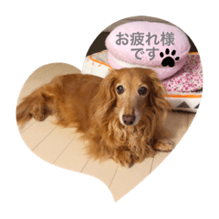 [LINEスタンプ] ユキミキ⭐︎パラダイス