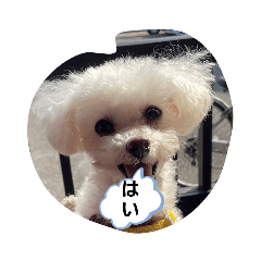 [LINEスタンプ] 愛しのフランたん