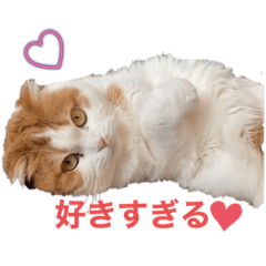 [LINEスタンプ] 猫のまなちゃん2