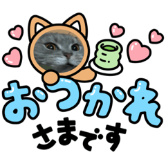 [LINEスタンプ] ネコネコ08