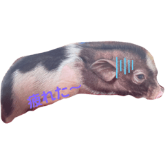 [LINEスタンプ] ぷ ん ちゃ ん