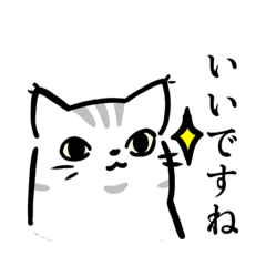 [LINEスタンプ] 敬語を使う猫たち(シンプル)