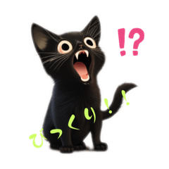 [LINEスタンプ] かじゅの黒猫スタンプ