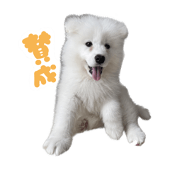 [LINEスタンプ] おさものダッツ(パピー2month)