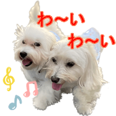 [LINEスタンプ] マルックスをひろめ隊
