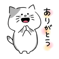 [LINEスタンプ] 毎日ねこたん