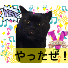 [LINEスタンプ] 黒猫 ルナ院長35にゃんめ