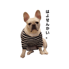[LINEスタンプ] かわいい薫さん
