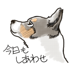 [LINEスタンプ] 保護犬バンの暮らし 001